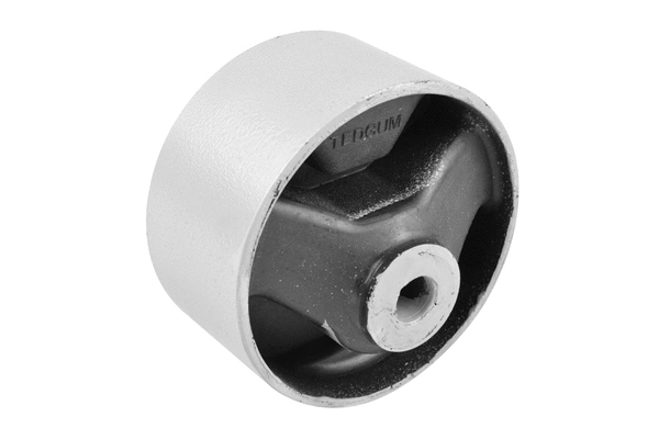 Variklio montavimas TEDGUM 00674330