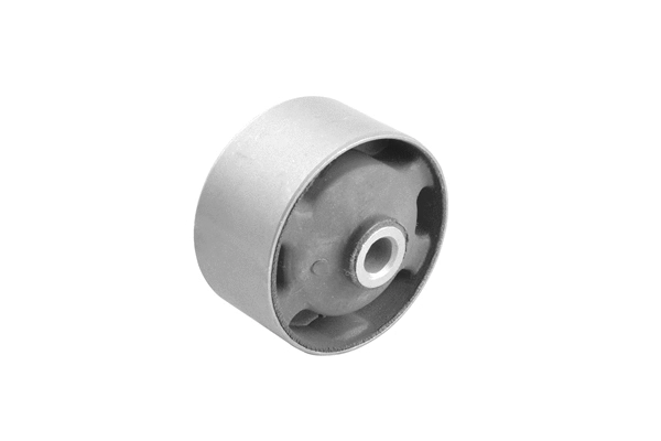 Variklio montavimas TEDGUM 00675852