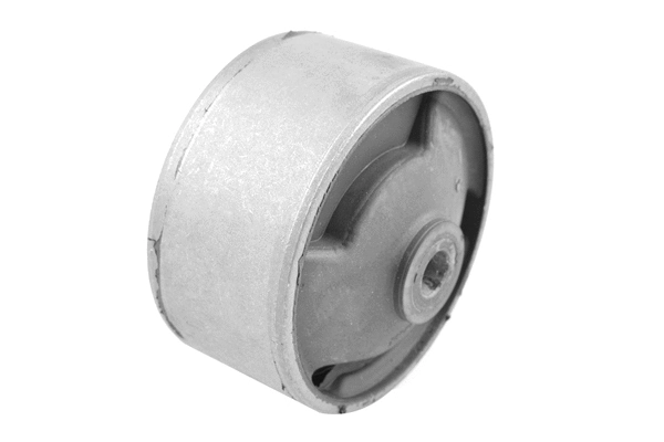 Variklio montavimas TEDGUM 00678382