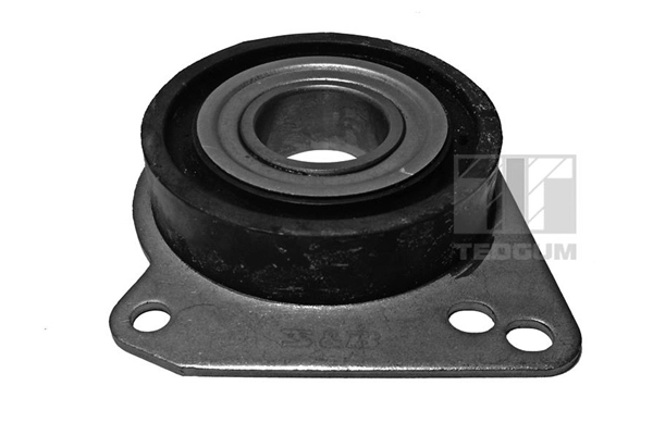 Kardaninio veleno guolis TEDGUM 00720588