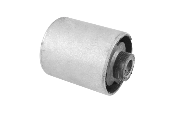 Variklio montavimas TEDGUM 00724394