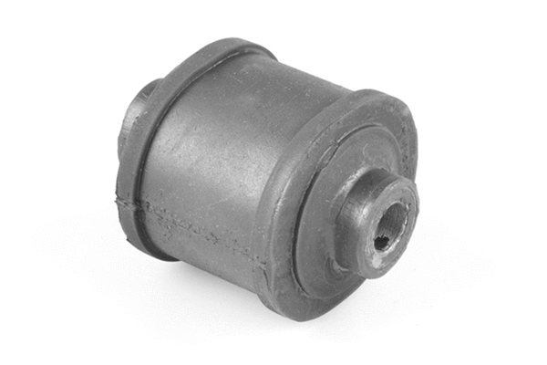 Variklio montavimas TEDGUM 00725527