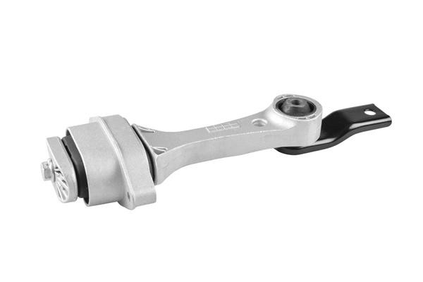 Variklio montavimas TEDGUM 00725649