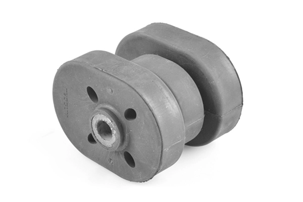 Variklio montavimas TEDGUM 00727863