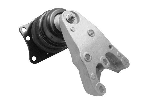 Variklio montavimas TEDGUM 00729391