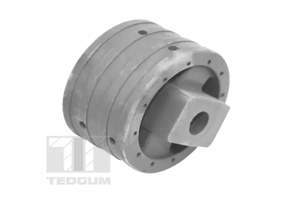 Variklio montavimas TEDGUM 00741004
