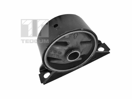 Variklio montavimas TEDGUM 00746499