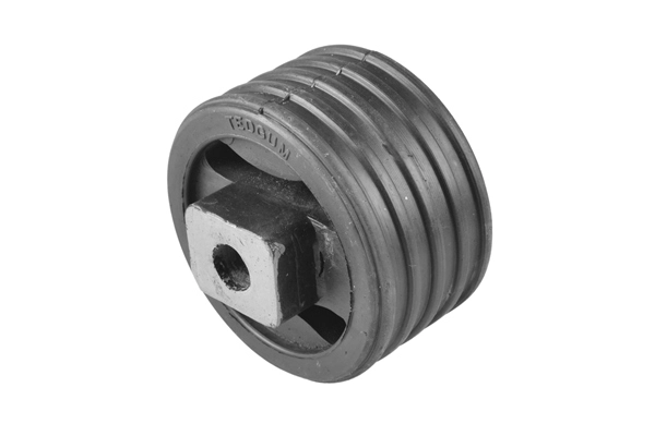 Variklio montavimas TEDGUM 00747776