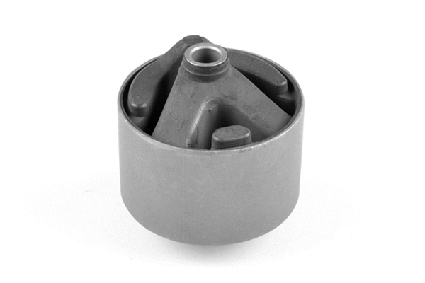Variklio montavimas TEDGUM 00747791