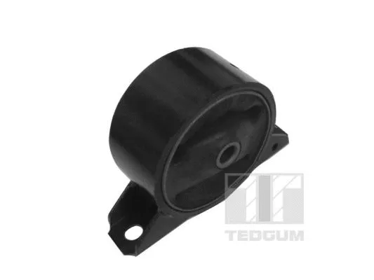 Variklio montavimas TEDGUM 00748642