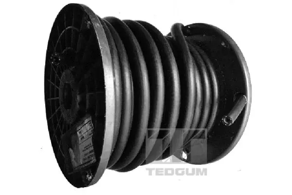 Degalų žarna TEDGUM 00817254