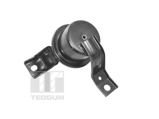Variklio montavimas TEDGUM TED10622