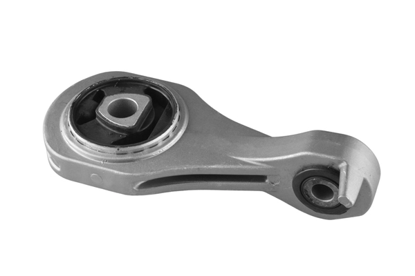 Variklio montavimas TEDGUM TED12053