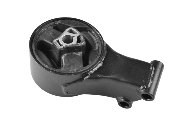 Variklio montavimas TEDGUM TED12970
