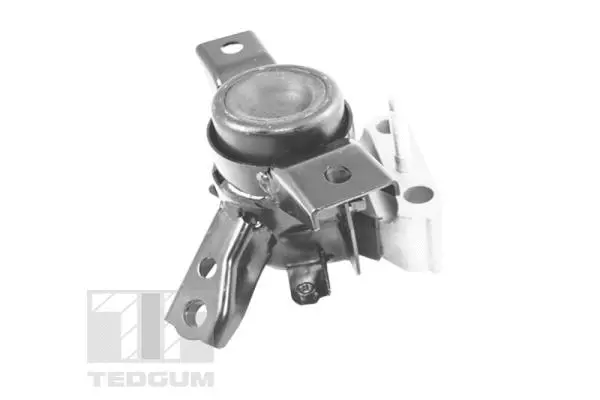 Variklio montavimas TEDGUM TED13922