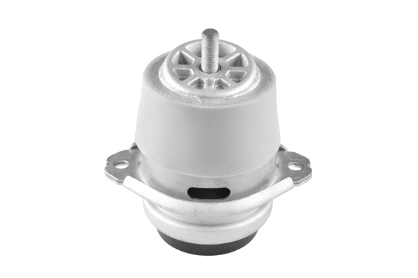 Variklio montavimas TEDGUM TED15116