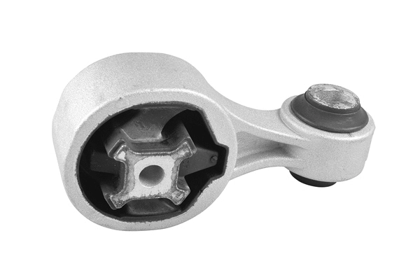 Variklio montavimas TEDGUM TED18087