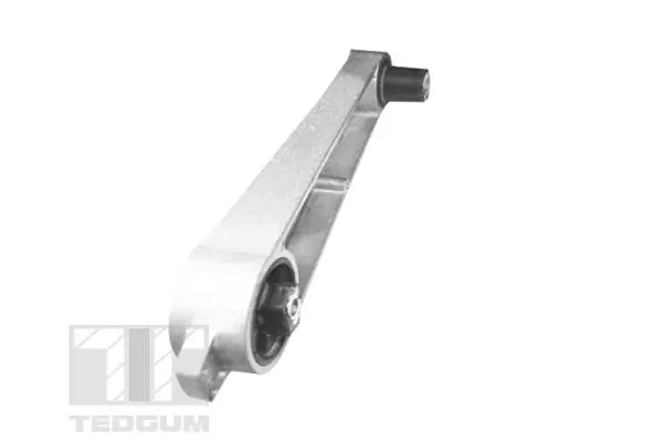 Variklio montavimas TEDGUM TED19070