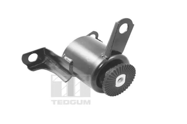 Variklio montavimas TEDGUM TED20173