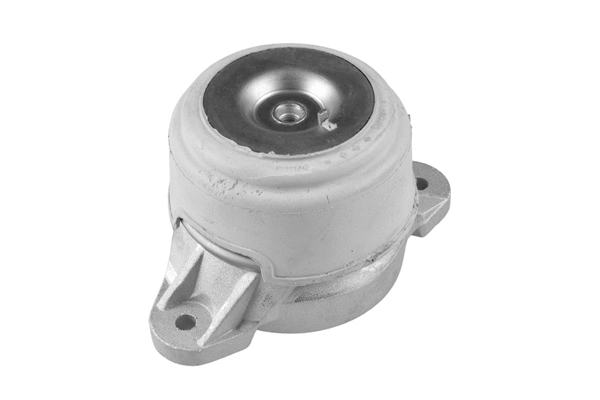 Variklio montavimas TEDGUM TED23591