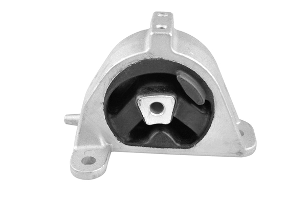 Variklio montavimas TEDGUM TED37618