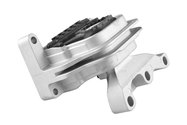 Variklio montavimas TEDGUM TED41593