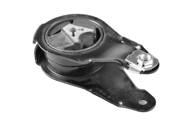 Variklio montavimas TEDGUM TED42422