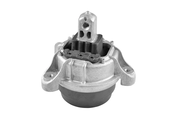 Variklio montavimas TEDGUM TED42513