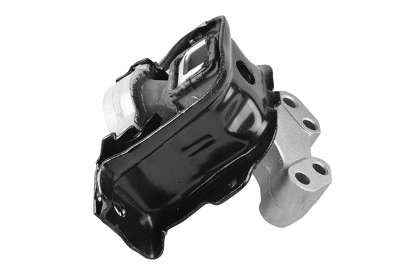 Variklio montavimas TEDGUM TED42730