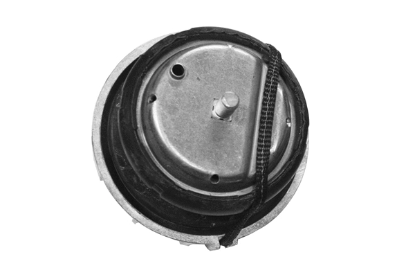 Variklio montavimas TEDGUM TED46098
