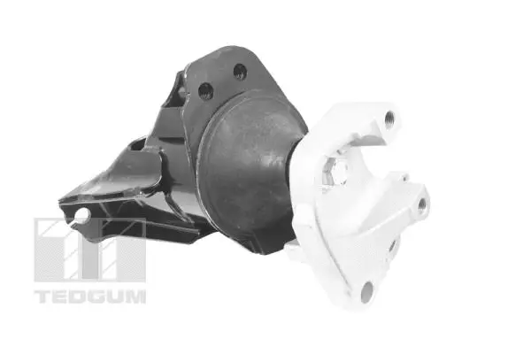 Variklio montavimas TEDGUM TED49865