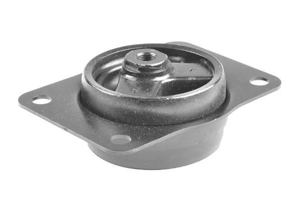 Variklio montavimas TEDGUM TED50095