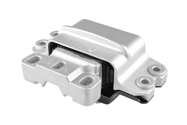Variklio montavimas TEDGUM TED52829