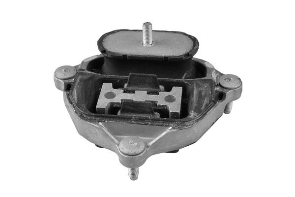 Variklio montavimas TEDGUM TED57535