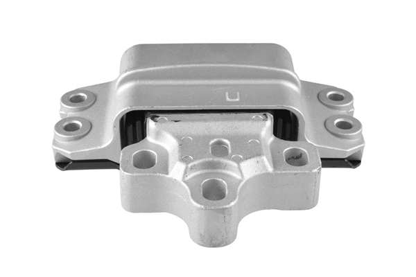 Variklio montavimas TEDGUM TED63933