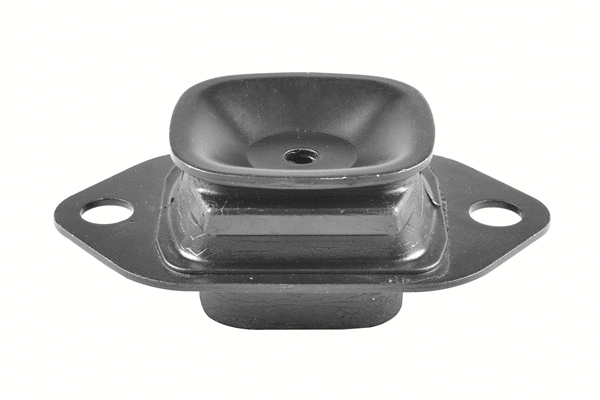 Variklio montavimas TEDGUM TED66410