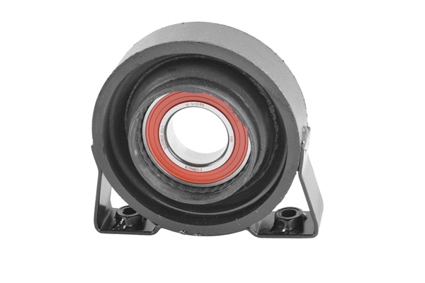 Kardaninio veleno pakaba TEDGUM TED67370