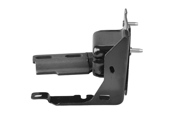 Variklio montavimas TEDGUM TED84260