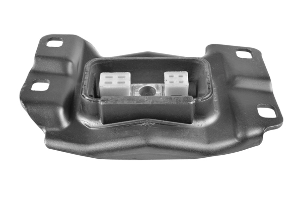 Variklio montavimas TEDGUM TED85942