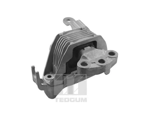 Variklio montavimas TEDGUM TED86251