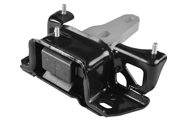 Automatinės transmisijos montavimas TEDGUM TED93981