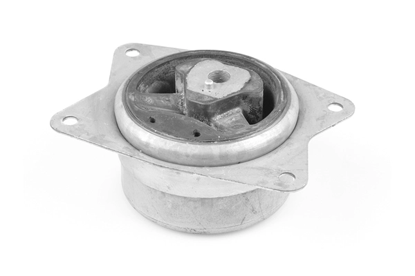 Variklio montavimas TEDGUM TED95962