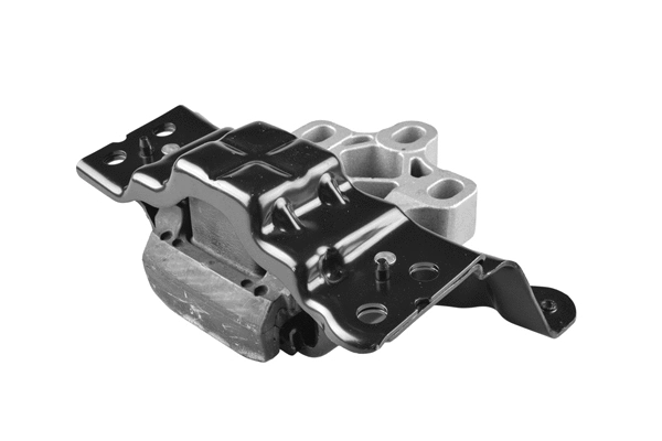 Variklio montavimas TEDGUM TED97570