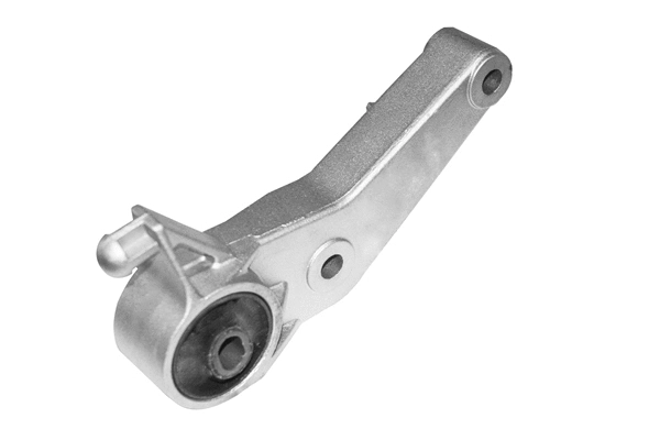 Variklio montavimas TEDGUM TED98278