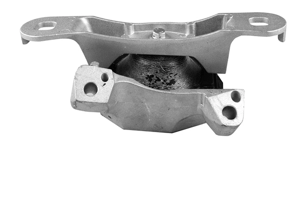Variklio montavimas TEDGUM TED98346