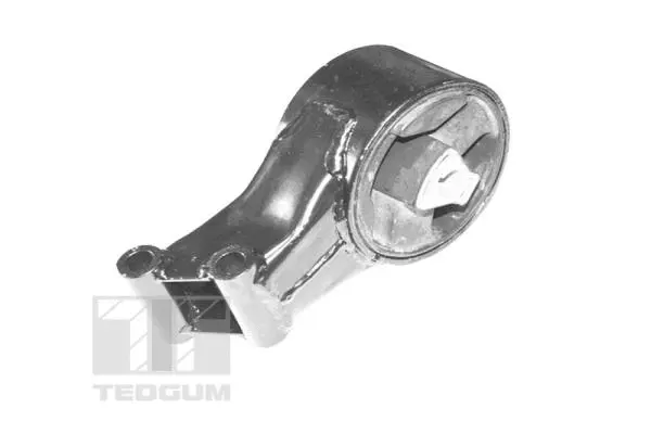 Variklio montavimas TEDGUM TED98445