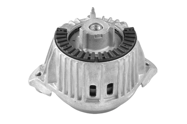 Variklio montavimas TEDGUM TED99086