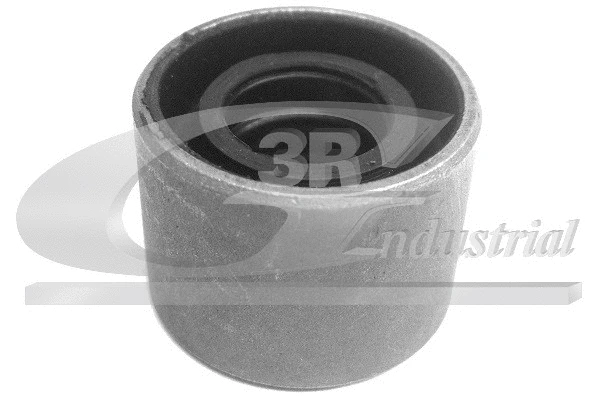 Kardaninio veleno centrinis guolis 3RG 50100