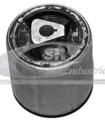 Valdymo svirties/išilginių svirčių įvorė 3RG 50114