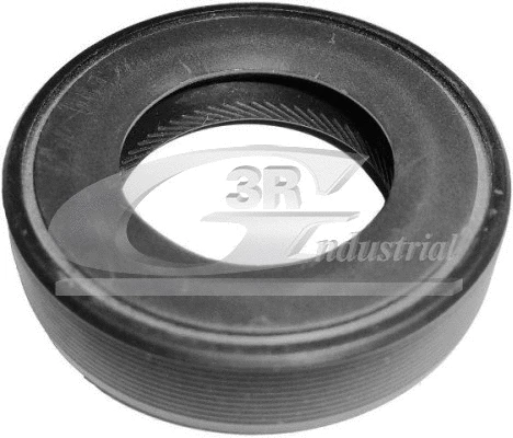 Mechaninės transmisijos veleno sandariklis 3RG 80209